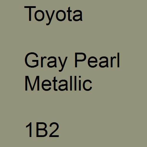 Toyota, Gray Pearl Metallic, 1B2.